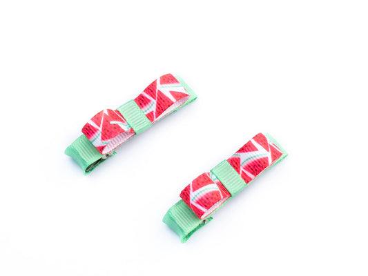 Watermelon Print Cute Loopy Bow on Alligator Clips - Hair Clips